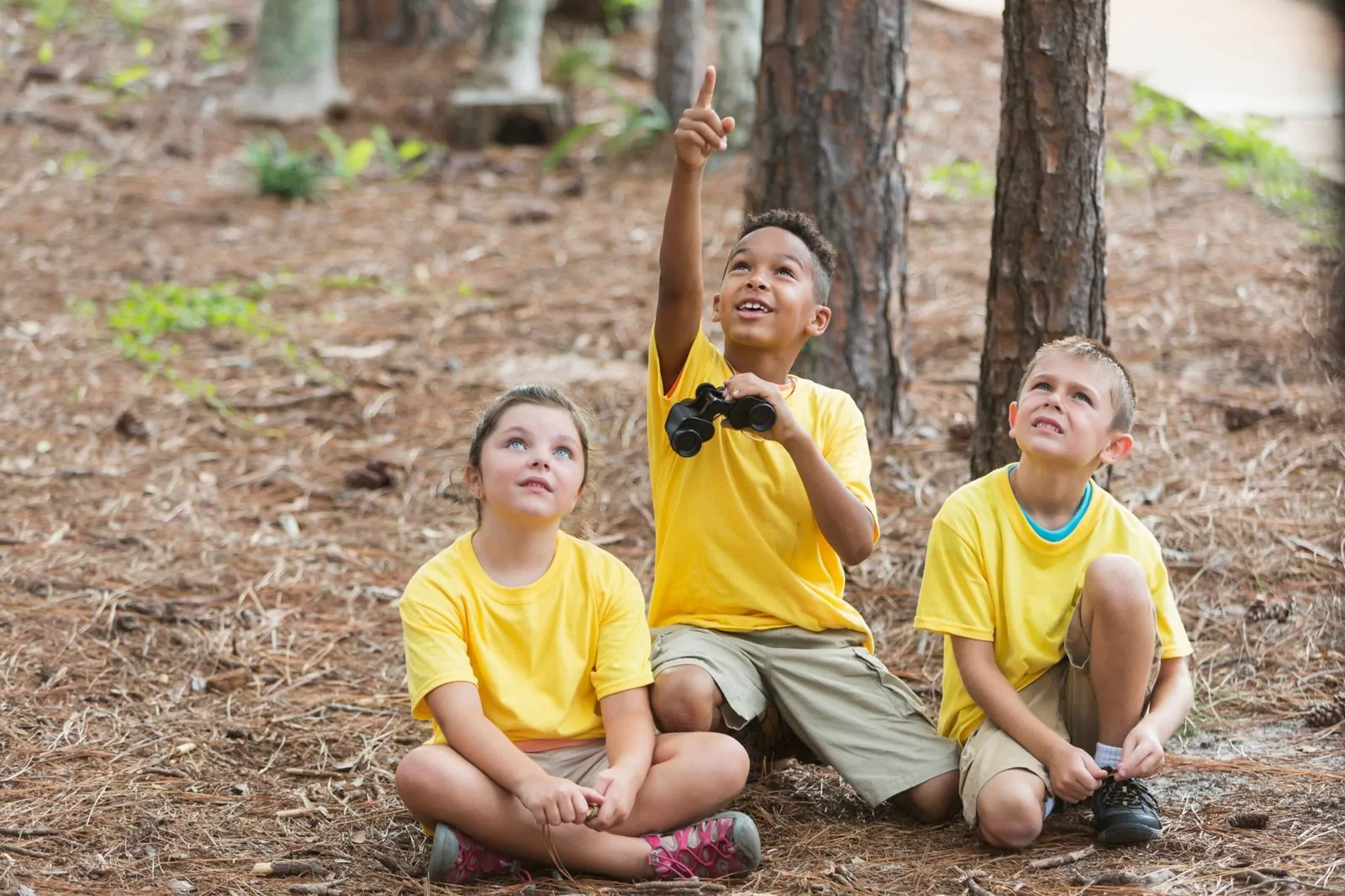 nature activities for preschoolers